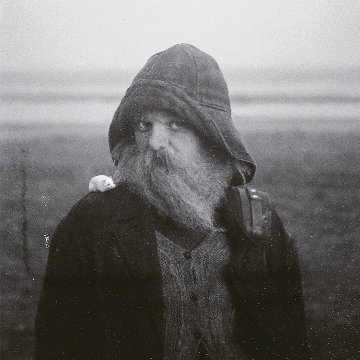 Mary In The Junkyard - Role Model Hermit (LP) (Indies Only)