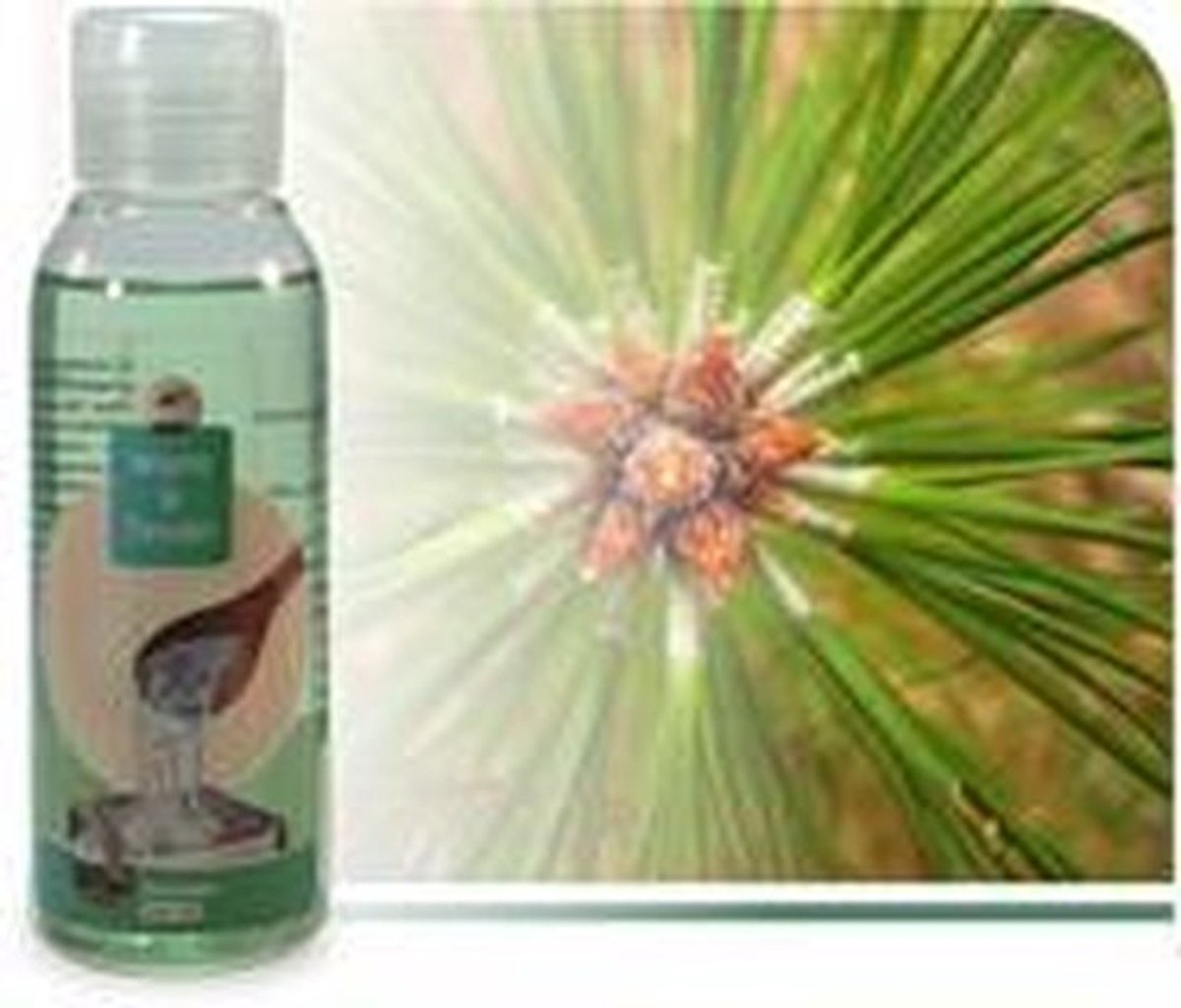 Warm & Tender - Dennen saunageur 100ml