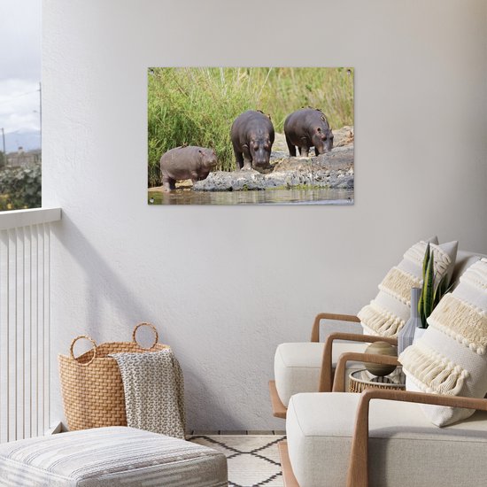 Posters de jardin extérieur Hippopotames - Water - Afrique du Sud - 90x60 cm - Toile jardin - Affiche extérieure