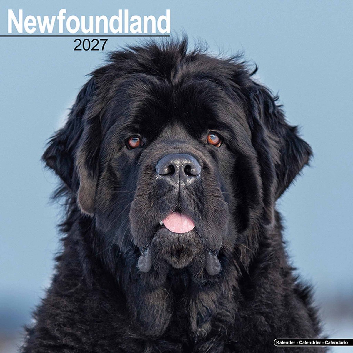 Newfoundlander Kalender 2027