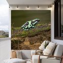 Een groene pijlgifkikker met zwarte patronen op een mosbegroeid stuk hout, hangend op een balkon met lounge stoelen.