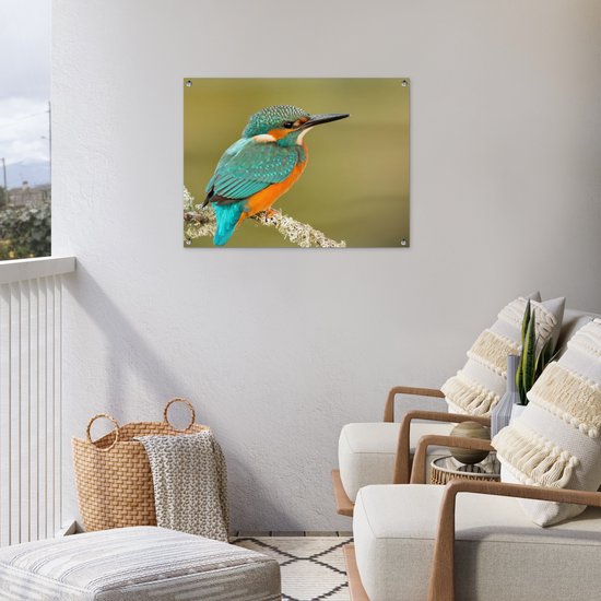 Tuinposter 80x60 cm - Tuindecoratie IJsvogel - Dieren - Vogel - Poster voor in de tuin - Buiten decoratie - Schutting tuinschilderij - Tuindoek muurdecoratie - Wanddecoratie balkondoek