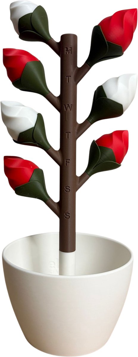 Pillendoos 7 Dagen – Bloem Design Medicijndoosje met Magnetische Bloemblaadjes (Rood - Wit)