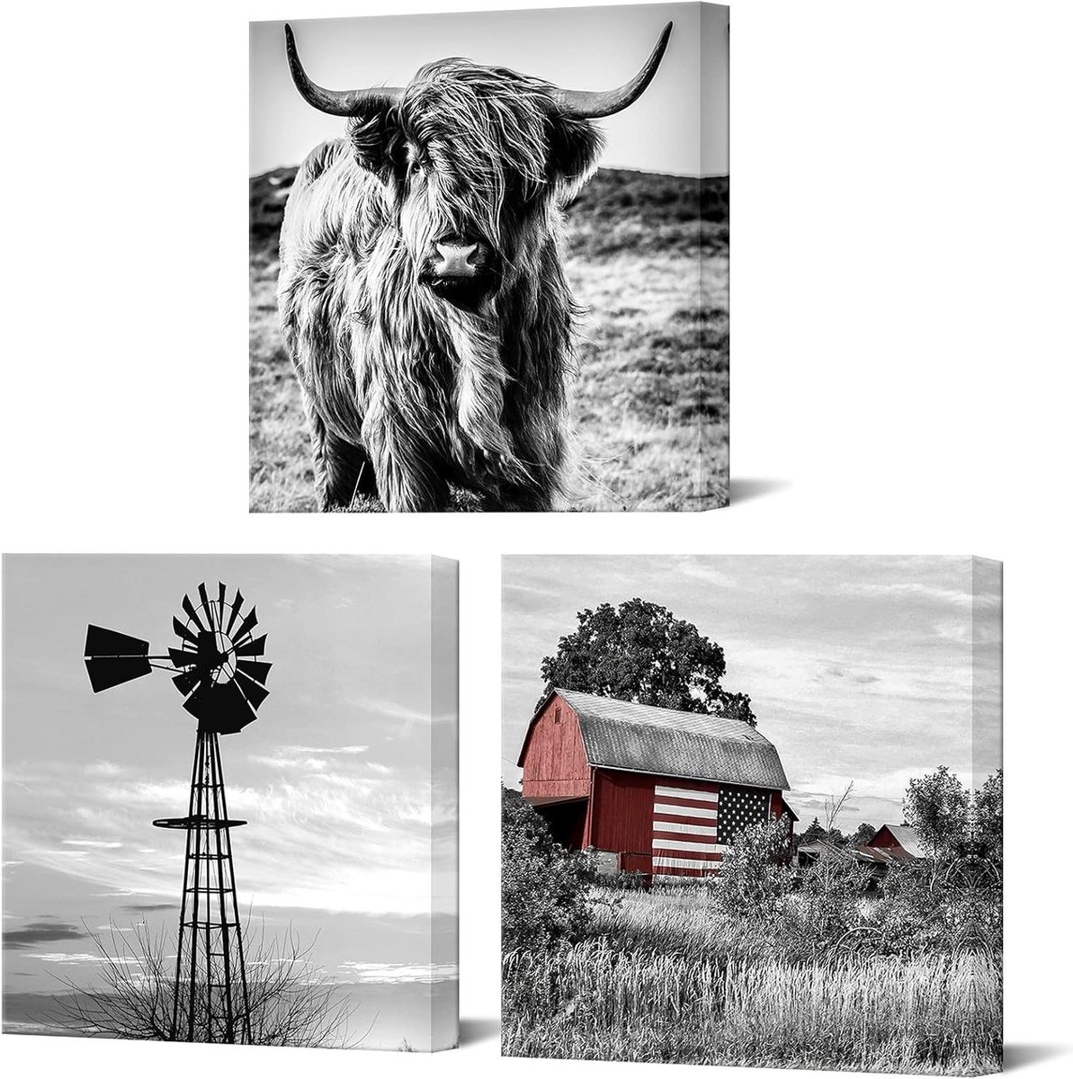 Canvas Muurkunst Set - Wanddecoratie Prints - Woonkamer Verfraaien - Klaar om op te hangen - 3x 20x20 inch