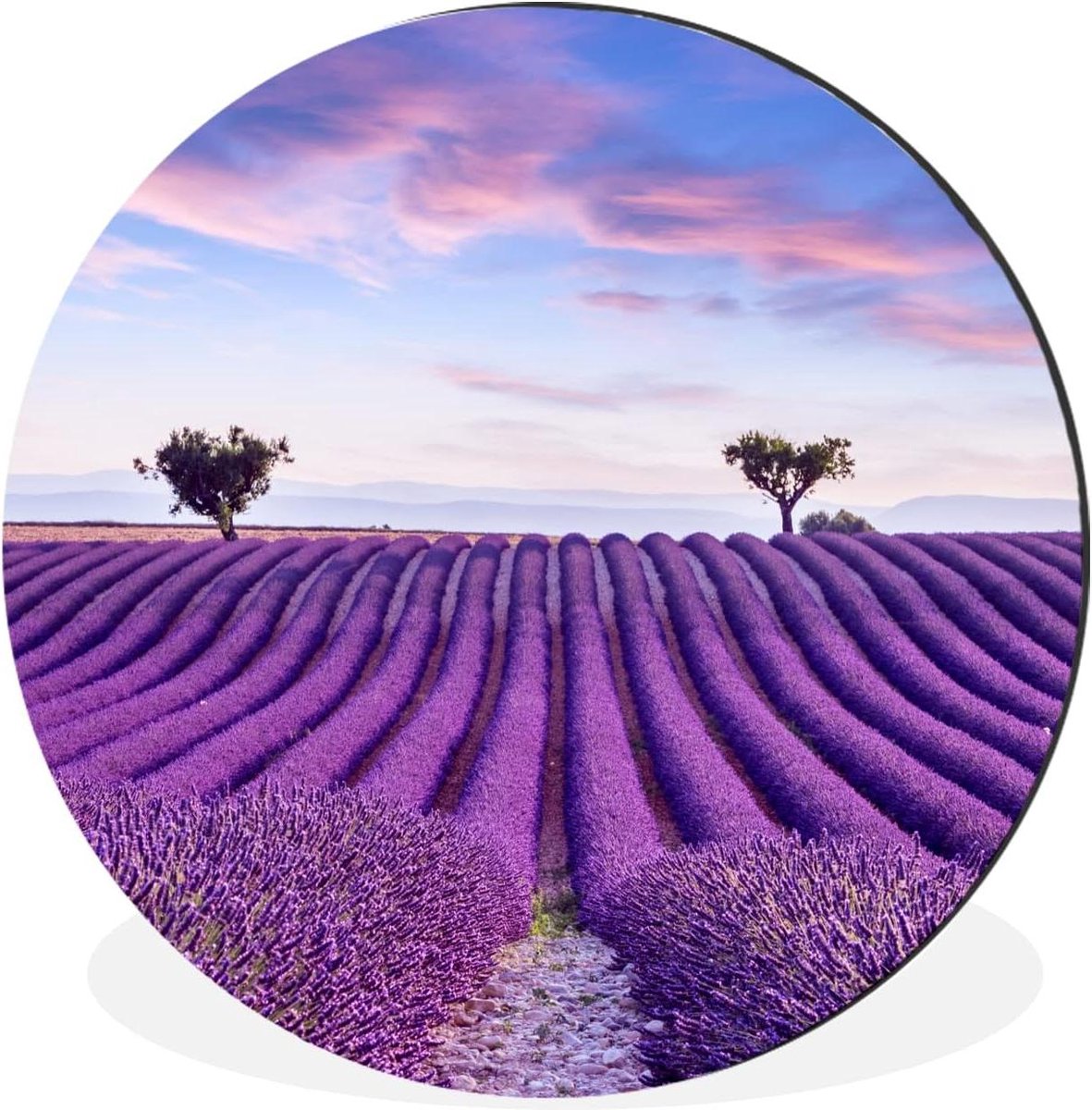 Wandcirkel Natuur - Muurcirkel Bloemen - Wanddecoratie Binnen - UV-print Scherpe Print - 140x140 cm - Paars