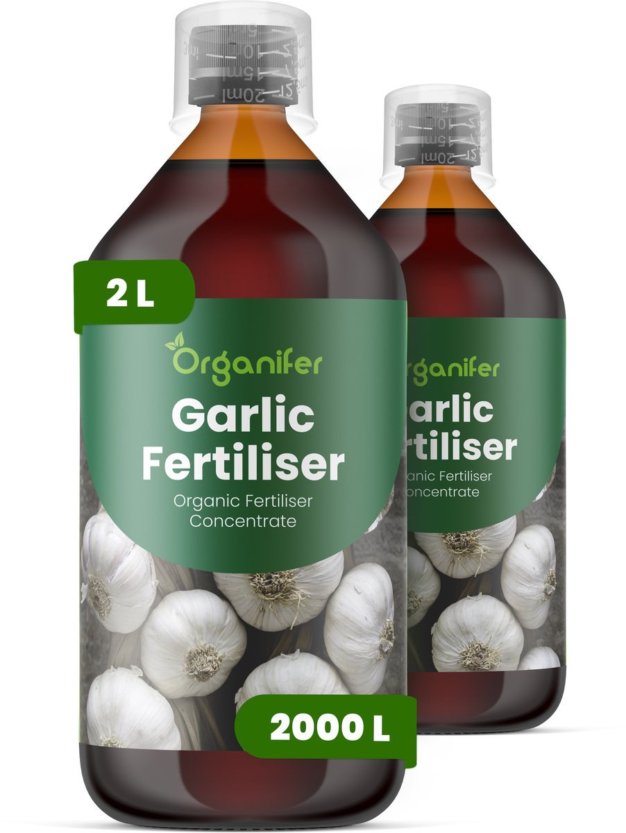 Vloeibare Meststof Voor Knoflook 2X1 L Voor 2000 L - Npk 2-1-8 - Sterke Loofontwikkeling - Bolontwikkeling - Vroege Wortelvorming - Voedingsopname - Bolvastheid - Verbetert Bolvastheid - Uniformiteit En Bewaarbaarheid - Organifer