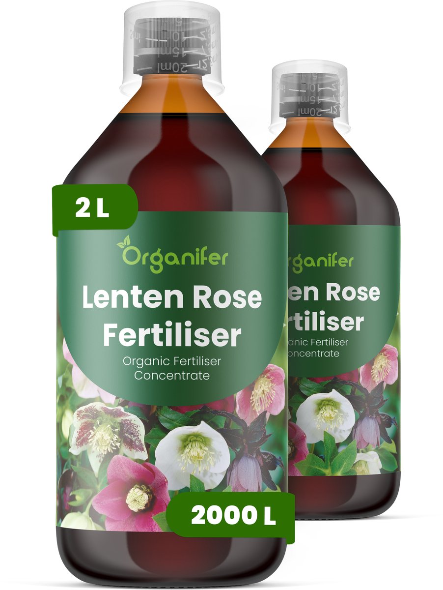 Vloeibare Meststof Voor Lentenroos 2X1 L Voor 2000 L - Npk 3-4-3 - Vroege Bloei - Langere Bloeiduur - Sterk Wortelstelsel - Kleurontwikkeling - Bladstructuur - Wintergroen - Schaduwtuinen - Jaarlijkse Bloei - Organifer