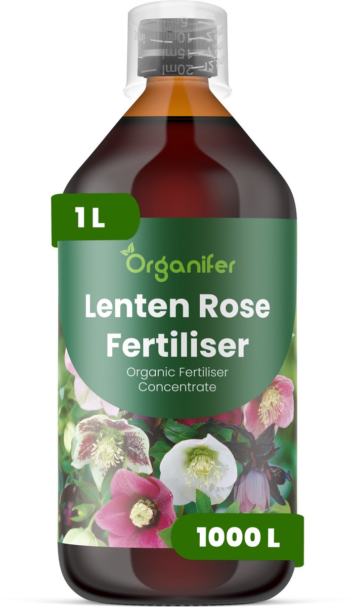 Vloeibare Meststof Voor Lentenroos 1 L Voor 1000 L - Npk 3-4-3 - Vroege Bloei - Langere Bloeiduur - Sterk Wortelstelsel - Kleurontwikkeling - Bladstructuur - Wintergroen - Schaduwtuinen - Jaarlijkse Bloei - Organifer