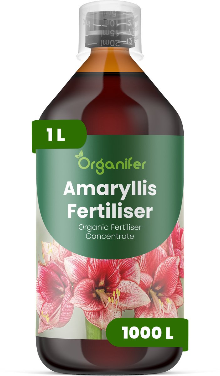 Vloeibare Meststof Voor Amaryllis 1 L Voor 1000 L - Npk 3-4-3 - Voor Sterke Bolontwikkeling - Grote Bloemen - Intense Kleur - Rechtopstaande Bloemstelen - Krachtige Wortelontwikkeling - Knopvorming - Bolvitaliteit - Organifer