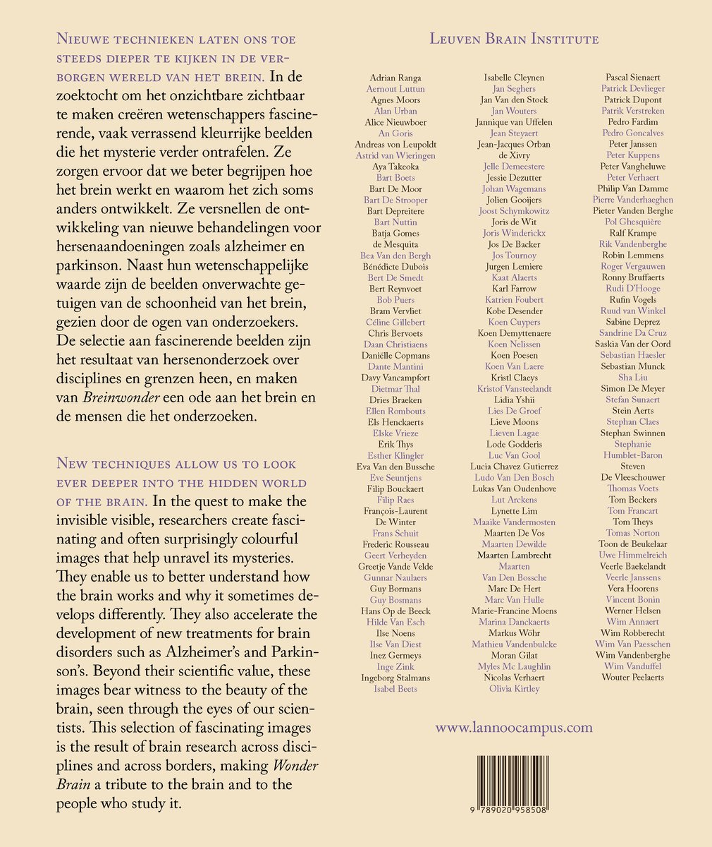 Breinwonder / Wonder Brain - back cover