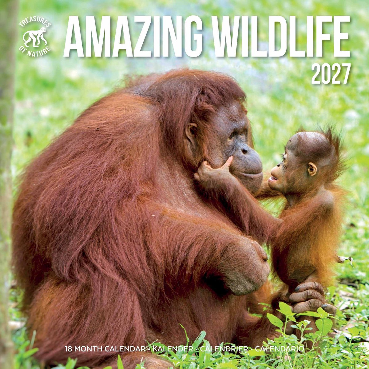 Amazing Wildlife Kalender 2027