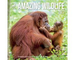 Amazing Wildlife Kalender 2027