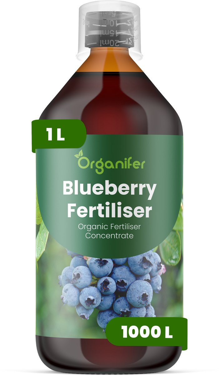 Vloeibare Meststof Voor Blauwe Bessen 1 L Voor 1000 L - Npk 2-1-8 - Sterke Scheuten - Grotere Bessen - Diepe Blauwe Kleur - Zure Bodem - Sterk Wortelstelsel - Vruchtzetting - Stressbestendig - Hoge Opbrengst - Organifer