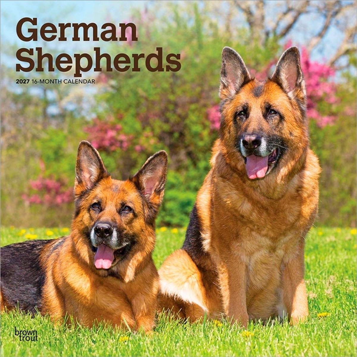 Duitse Herder Kalender 2027