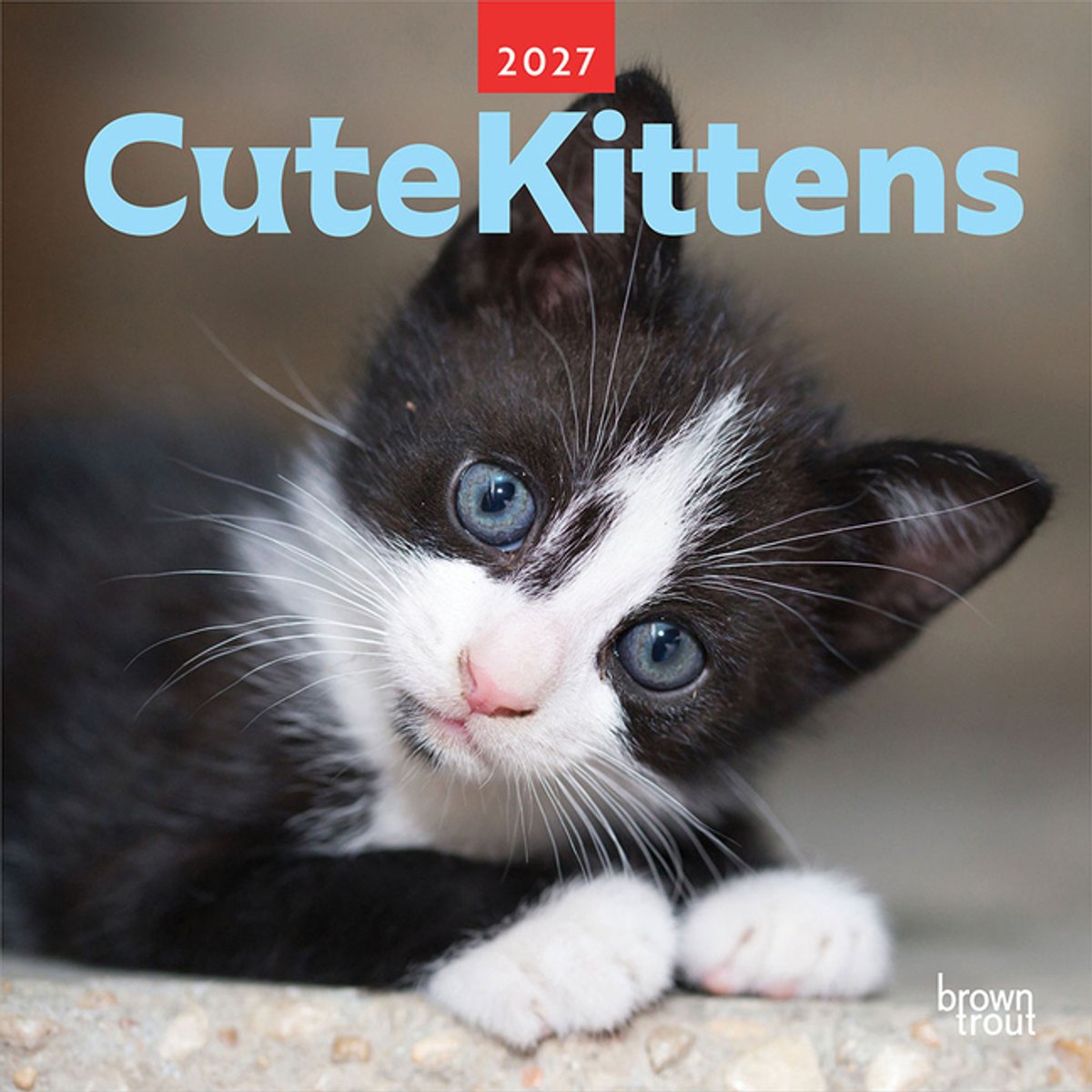 Cute Kittens Kalender 2027