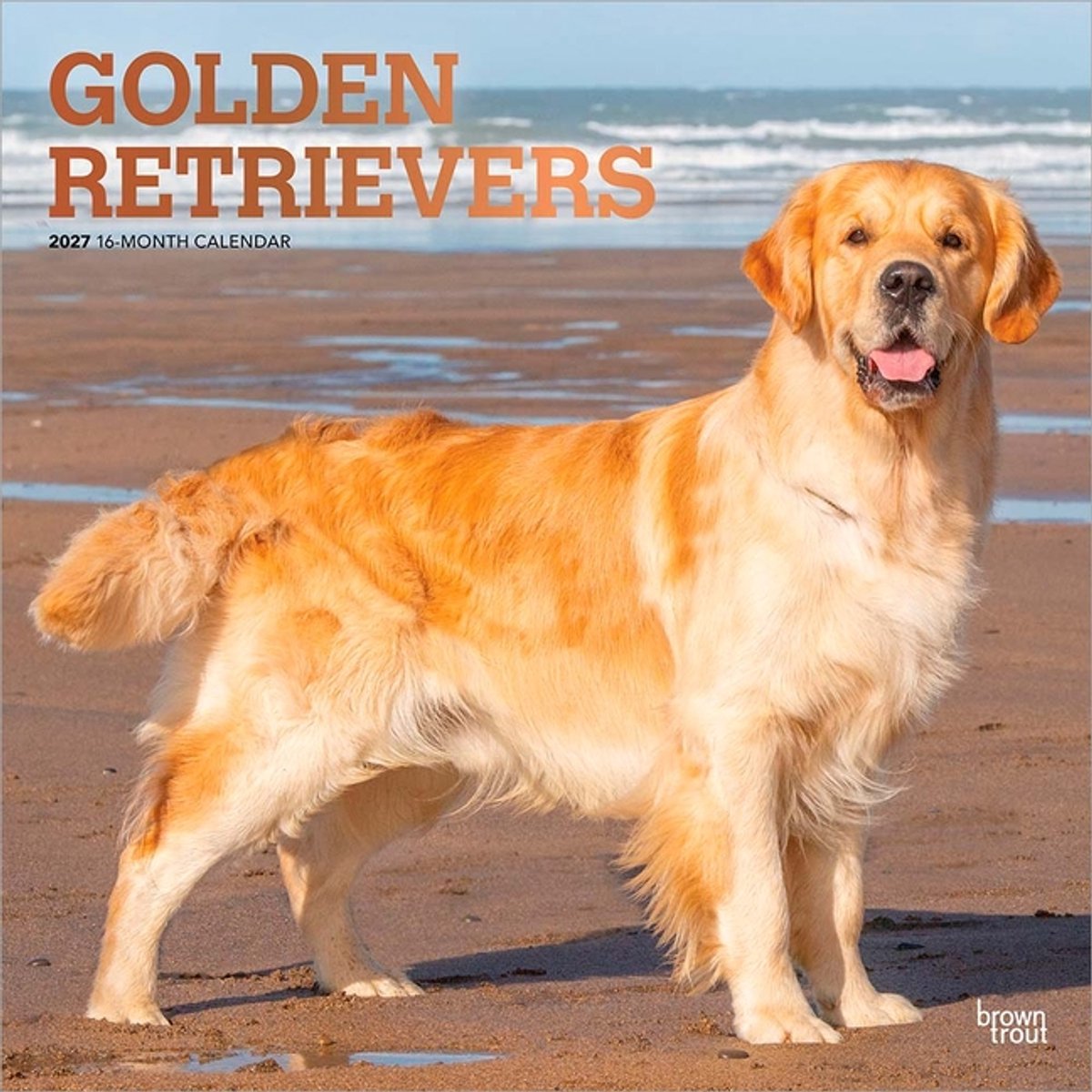 Golden Retriever Kalender 2027