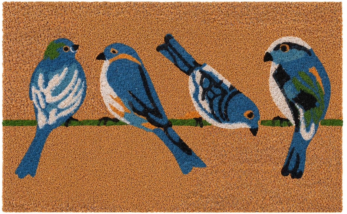 Deurmat kokos - zwaluwen - 60x40 cm - antislip