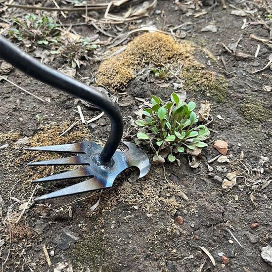 Onkruidwieder Set - Wiedegereedschap Tuin - Onkruid Verwijderen - 4 Scherpe Tanden - 35 cm - Zilver van Onkruidwieder — afbeelding 5