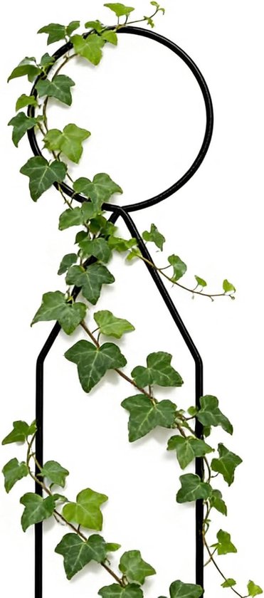 Plantenrooster - Klimplantsteun - Verticale Plantengroei - Robuust Metalen Frame - 34 cm hoog - Zwart