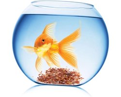 Aquarium Grind - Decoratief Grind Bodembedekking - Aquarium Decoreren - Natuurlijk Gepolijst - 100 g - Rood