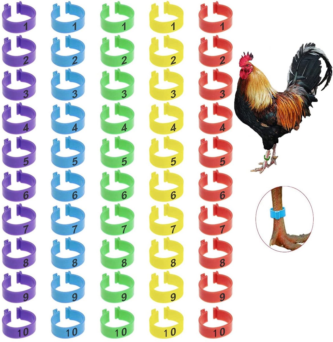 Dailygoody - Kippenpootringen - Clip-on-pootringen - Genummerd voor Identificatie - Meerdere Kleuren - 50 Stuks - Geschikt voor Kippen, Eenden, Duiven..