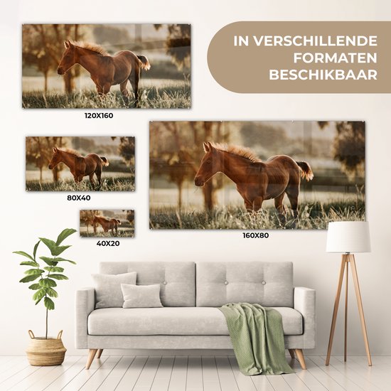 ® Glasschilderij 80x40 cm - Schilderij acrylglas - Paard - Licht - Weide - Foto op glas - Muurdecoratie woonkamer - Wanddecoratie slaapkamer - Schilderijen