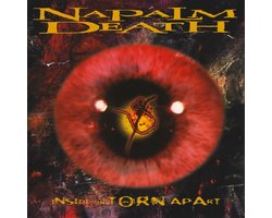 Inside the Torn Apart