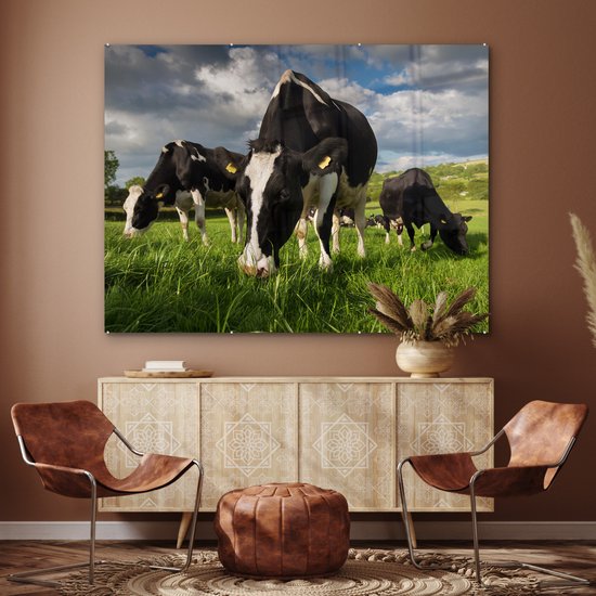 Vaches frisonnes regardant au soleil Plexiglas 160x120 cm - Tirage photo sur Glas (décoration murale plexiglas) XXL / Groot format!