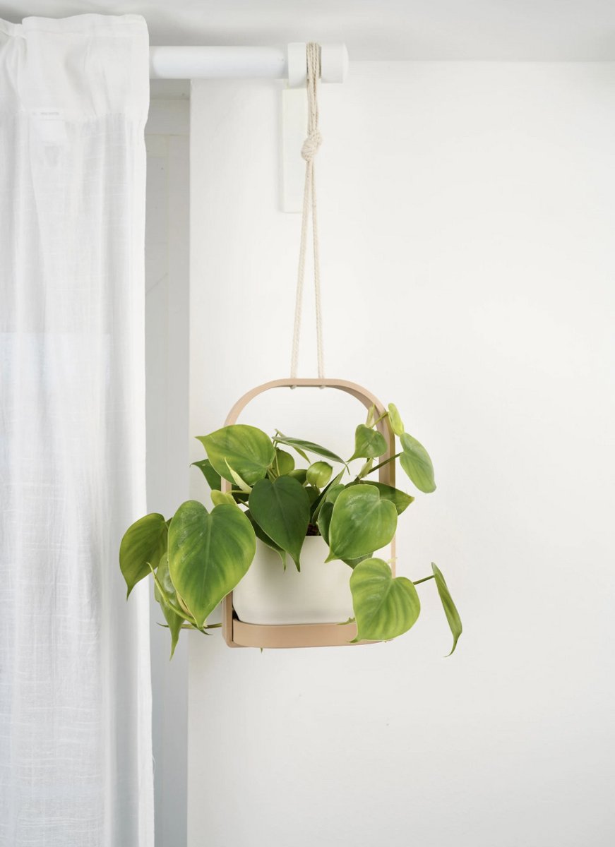 HANGSIS Hangende Plantenpot met Waterreservoir – Plantenhanger Binnen – Ruimtebesparend – Hangplant Kamerplant Cadeau – Urban Jungle
