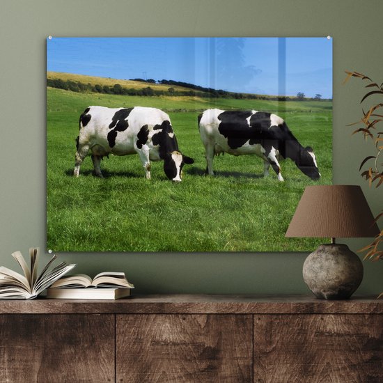 Deux vaches frisonnes dans l'herbe verte Plexiglas 80x60 cm - Tirage photo sur verre (décoration murale plexiglas)