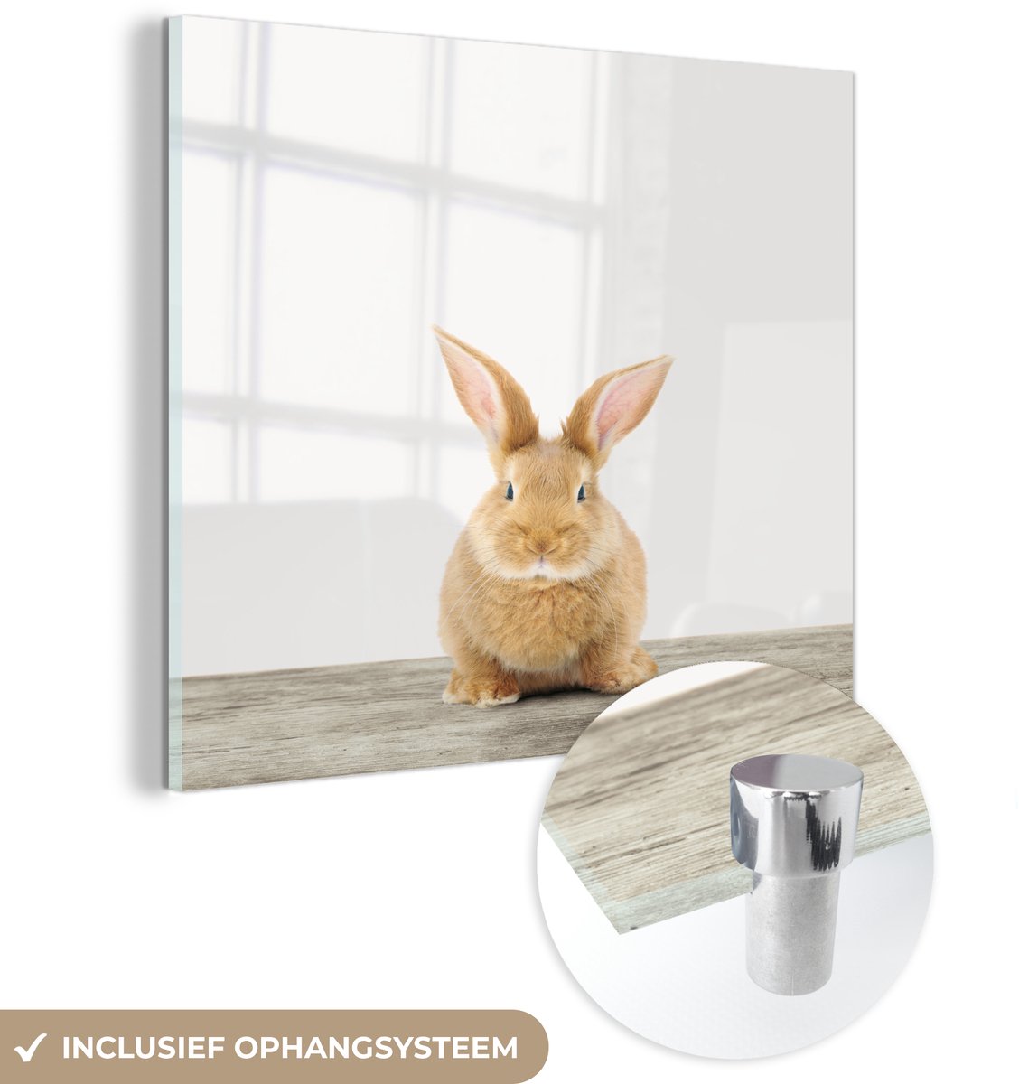 ® Glasschilderij 90x90 cm - Schilderij acrylglas - Konijn - Baby konijn - Dieren - Kind - Meisjes - Jongens - Foto op glas - Muurdecoratie woonkamer - Wanddecoratie slaapkamer - Schilderijen