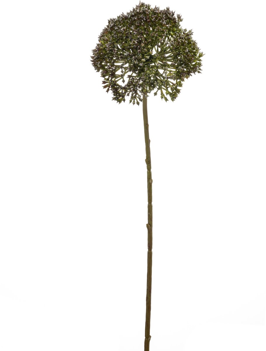 Kunsttak Allium Groen - Natuurgetrouwe Kunstplant voor Huisdecoratie