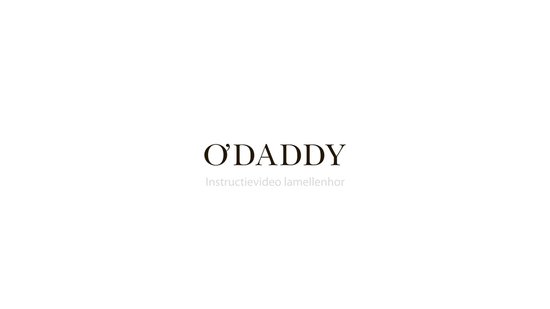 O'DADDY® Vliegengordijn Lamellenhor - 100x260 cm - Deurgordijn - Hordeur - Aanpasbaar Ontwerp - Glasvezel - Deurhor Zwart