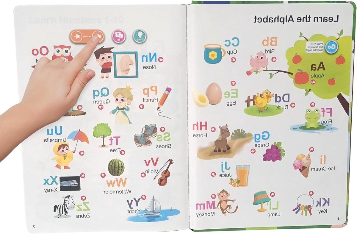 Interactief Leerboek - Woordenboek Geluid - Vroege Taalontwikkeling - Interactieve Geluidsfunctie - 208 x 278 cm - Meerkleurig