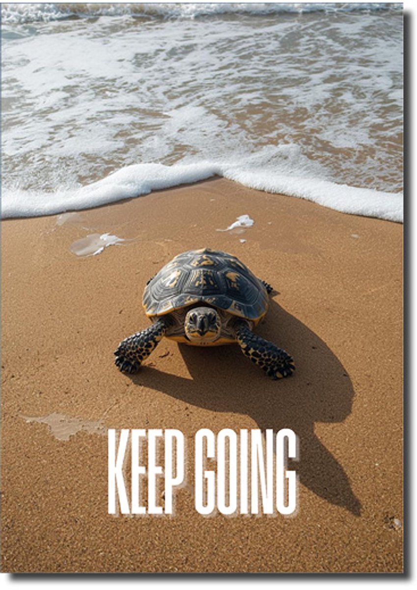 Huurdies - Poster - Wijze dieren - A2 - 6 - Schildpad