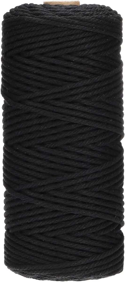 1 rol gevlochten katoenkoord met franjes (3 mm x 100 m) — Puur katoenen touw, geschikt voor het maken van tassen, wandkleden, plantenhangers, handwerk en weefwerk (Zwart)