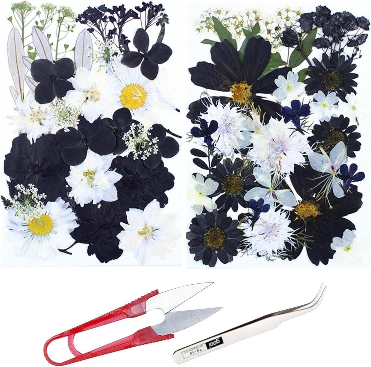 Gedroogde Bloemen - Natuurlijke Bloemen - Ambachten Decoratie - Zwart Wit Stijl - 60 Stuks