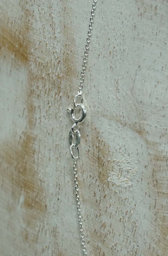 Detaillering van de karabijnsluiting van een smalle, zilveren ketting met rondschakels.