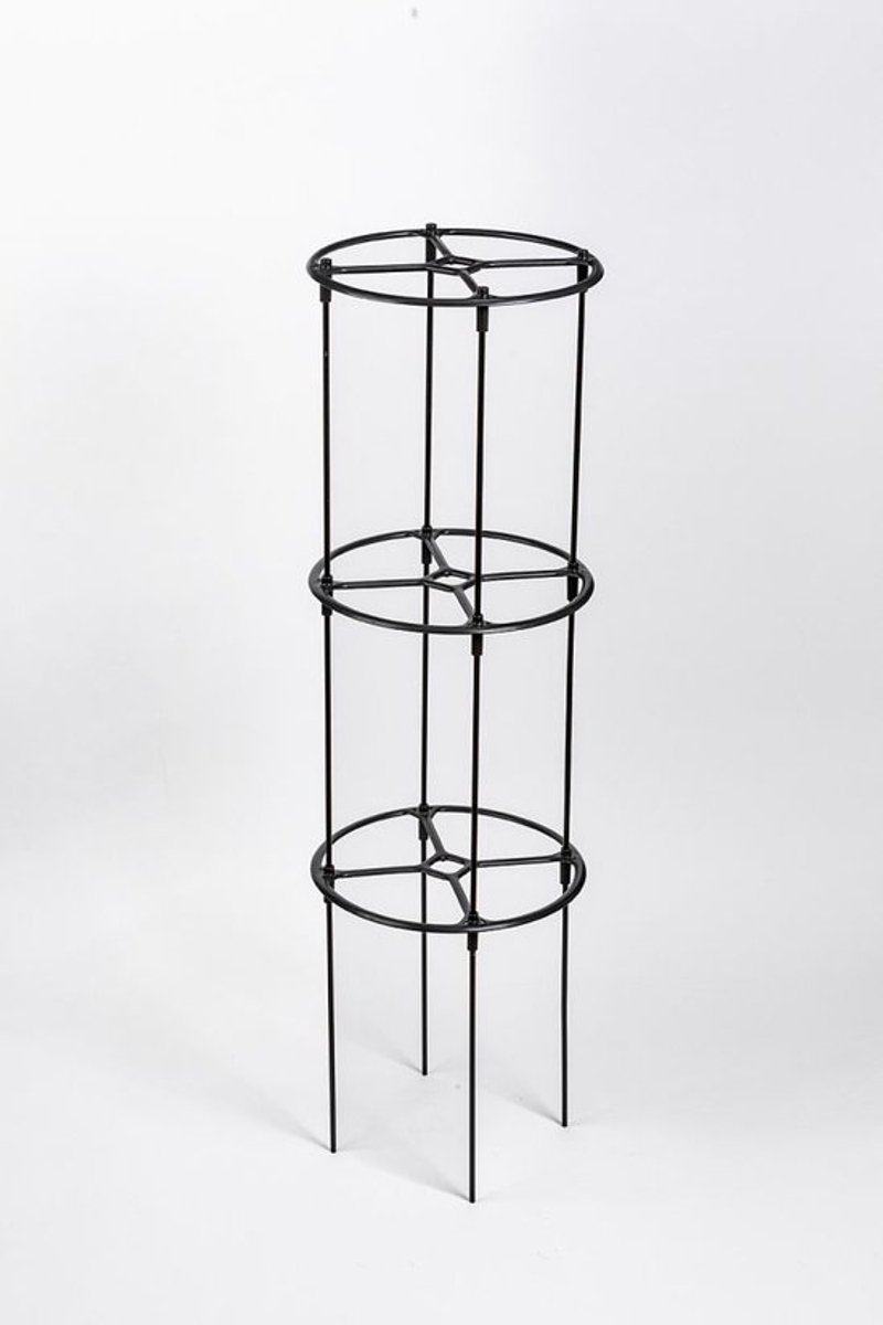 Plastia - Berberis Trellis - plantensteun - 132,5 cm hoog x 38 cm rond