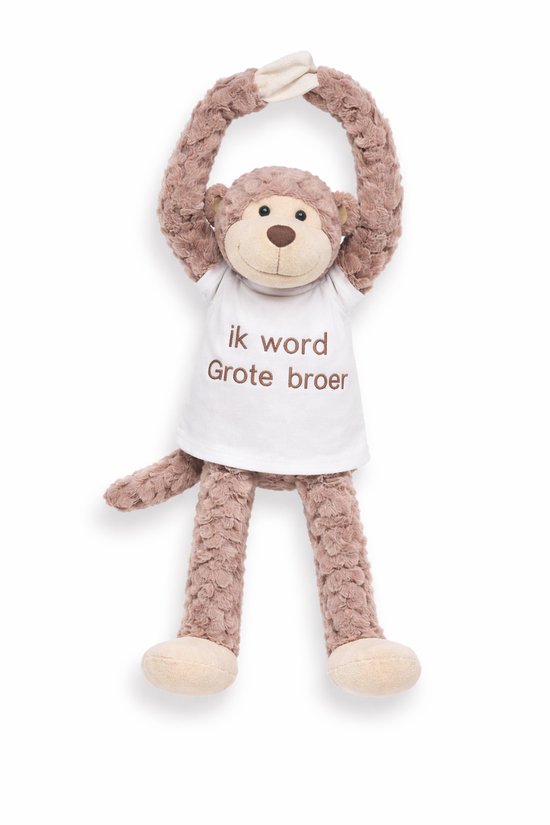 Knuffel aap met Geborduurd Shirt “Ik word grote broer ” – Zwangerschap ...