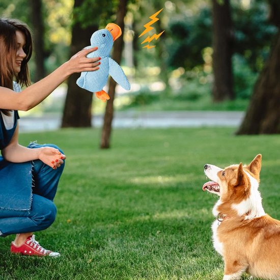 PlayFeed - Interactief Voeder Speelgoed voor Honden PlayFeed - Interactief Voeder Speelgoed voor Honden
