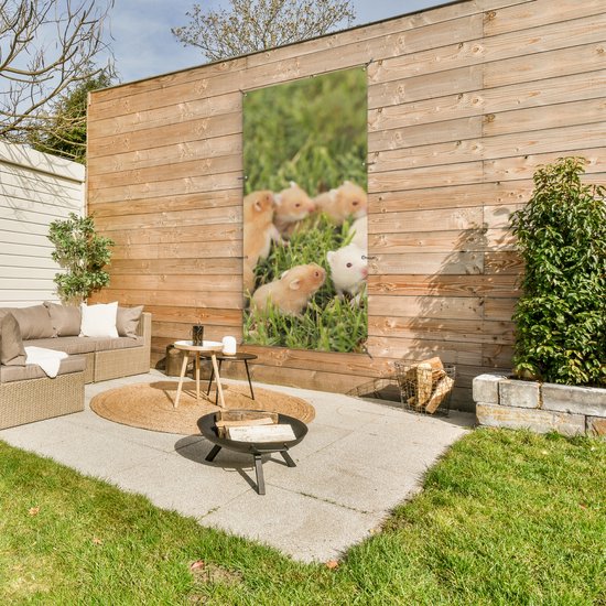 Décoration murale d'extérieur Hamster doré avec garçon - 80x160 cm - Toile de jardin - Poster extérieur