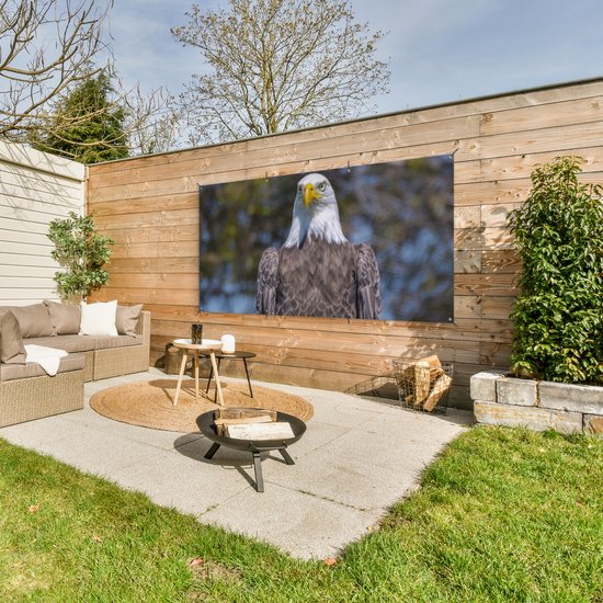 Affiche de clôture Un pygargue à tête blanche américain est assis sur un poteau en bois - 200x100 cm - Toile jardin