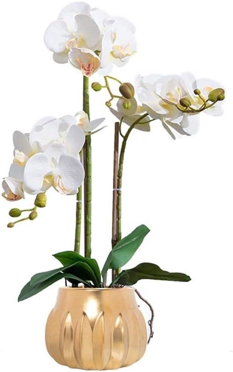Kunstorchidee in pot - Nepbloem Phalaenopsis - Woonkamer decoreren - Onderhoudsarm zijden 