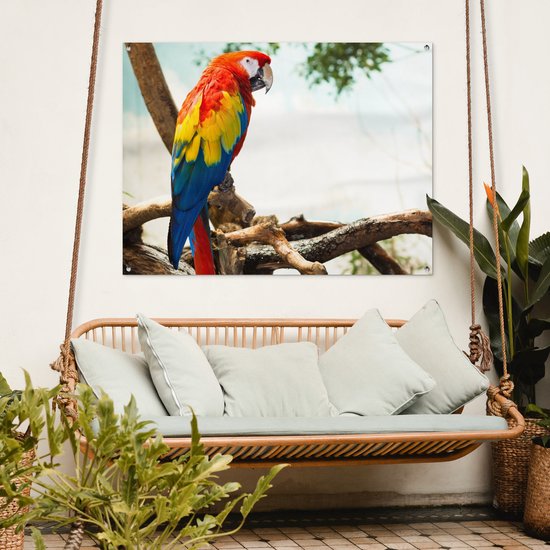 Poster de Jardin Perroquet - Vogel - Arc-en-ciel - Tropical - 200x200 cm - Toile de jardin