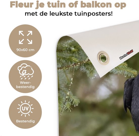 Deux corbeaux noirs sont assis ensemble sur une branche Affiche de jardin 90x60 cm - Toile de jardin / Toile d'extérieur / Peintures d'extérieur (décoration de jardin)