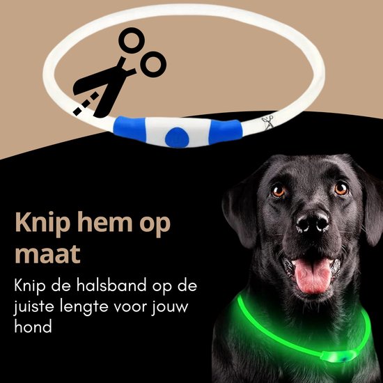 Collier pour chien LED lumineux - Siècle des Lumières de laisse pour chien rechargeable - Colliers d'éclairage pour chien lumineux - Taille unique - Rose