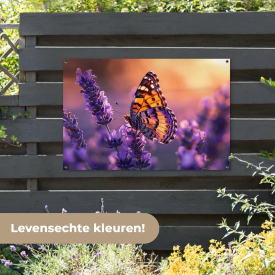 Een vlinder met oranje, zwart en paarse vleugels zit op paarse lavendel, aan een donkergrijze schutting. Levensechte kleuren!