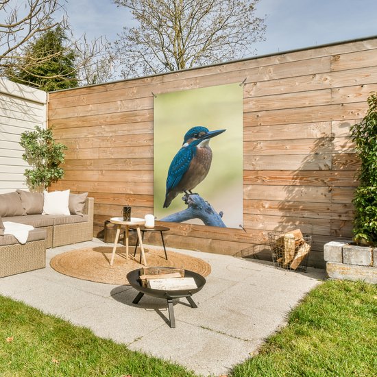 Affiche de Jardin Martin-pêcheur - Branche - Vogel - 200x200 cm - Toile de jardin