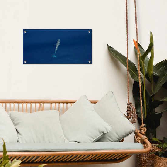 Une baleine bleue d'en haut Poster de jardin 60x30 cm - petit - Toile de jardin / Toile d'extérieur / Peintures pour l'extérieur (décoration de jardin)